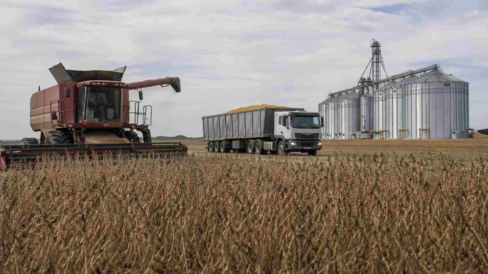 El avance acelerado de la soja y la siembra récord de trigo marcan la campaña agrícola 2026/27