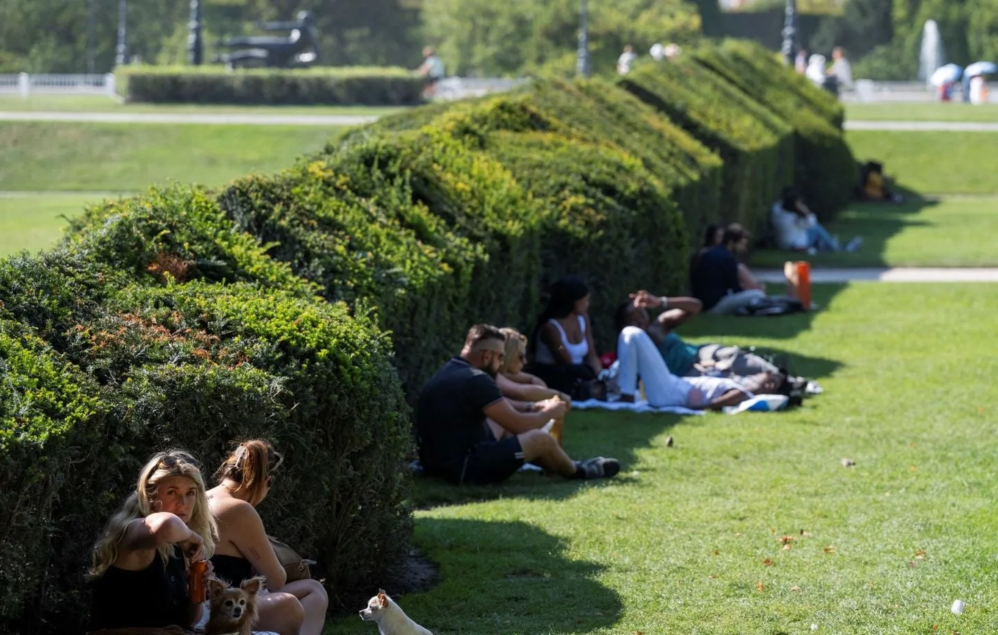 Plantar árboles de follaje denso para mitigar el calor y mejorar espacios urbanos