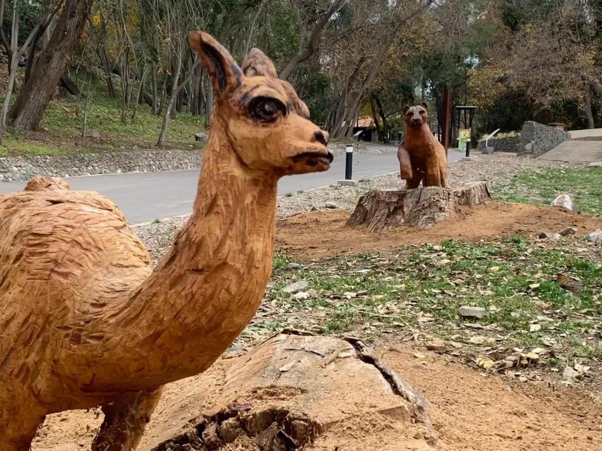 Ecoparque de Mendoza reabrirá con recorrido limitado y sin exhibición de animales