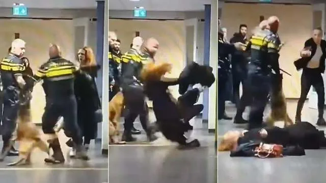 Policía de Países Bajos investiga uso de fuerza contra mujer embarazada en centro de refugiados
