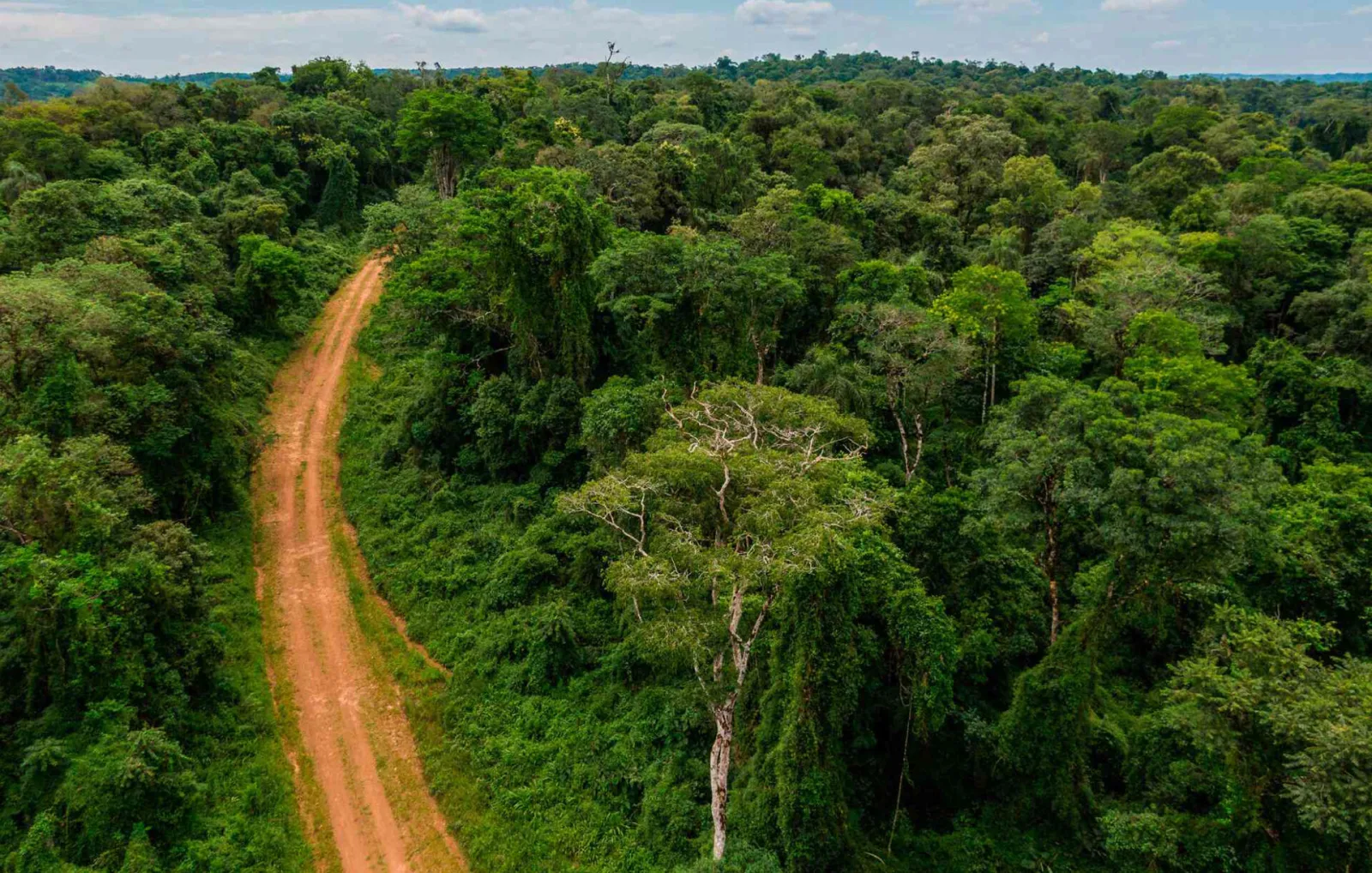 APICOFOM y CEM exigen diálogo para revisar registro y normativas ambientales en Misiones