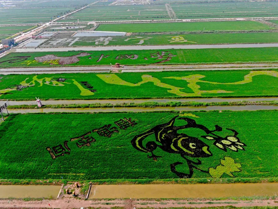 China impulsa la revitalización rural mediante innovación agrícola y turismo sostenible
