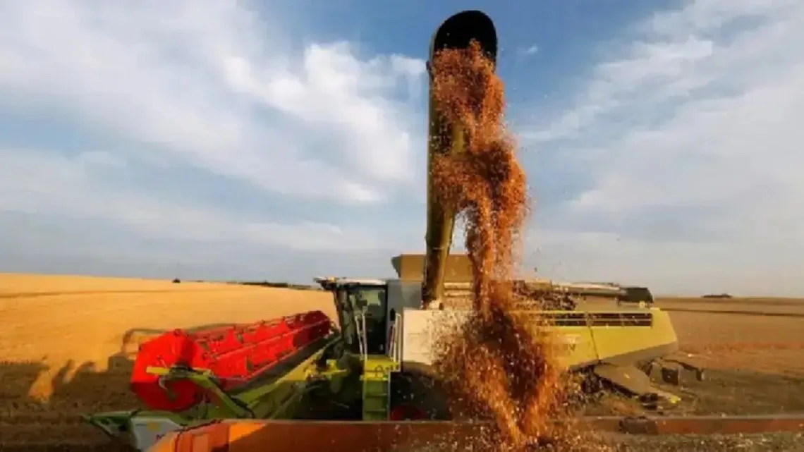 El agro impulsa las exportaciones con un crecimiento del 17,5% en los primeros cinco meses