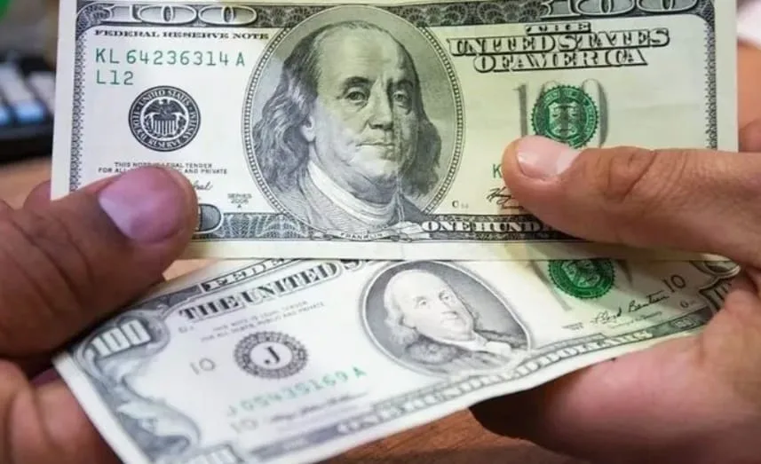 El dólar oficial detuvo su aumento tras tres semanas y ajustan previsiones para el año