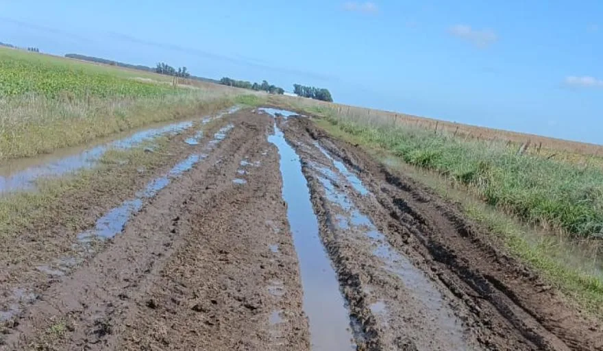 Gobierno de Corrientes auditará consorcios camineros para mejorar rutas rurales ante El Niño