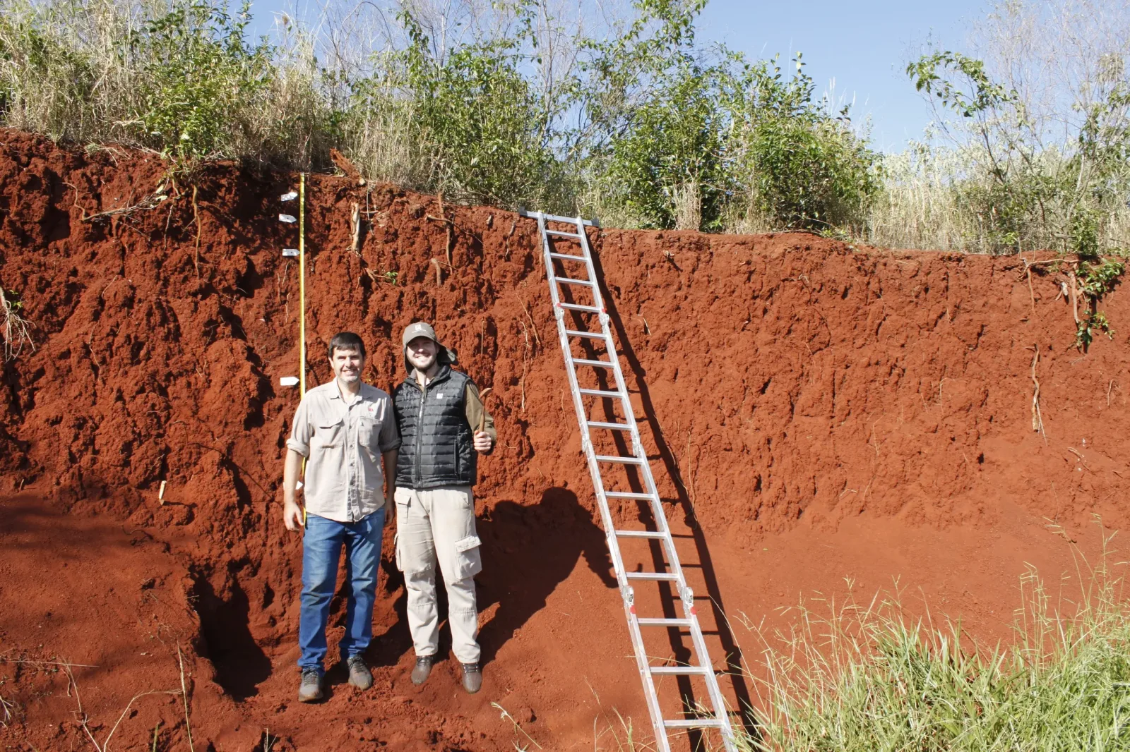 Investigación revela cómo la composición mineral de los suelos afecta la producción en Misiones