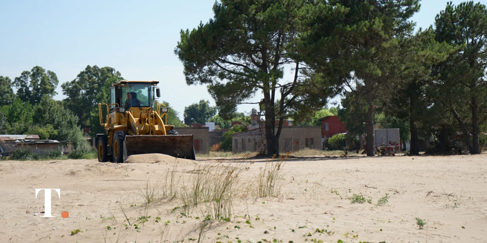 Solicitan información sobre el impacto ambiental de una obra en zona boscosa de Villa Gesell