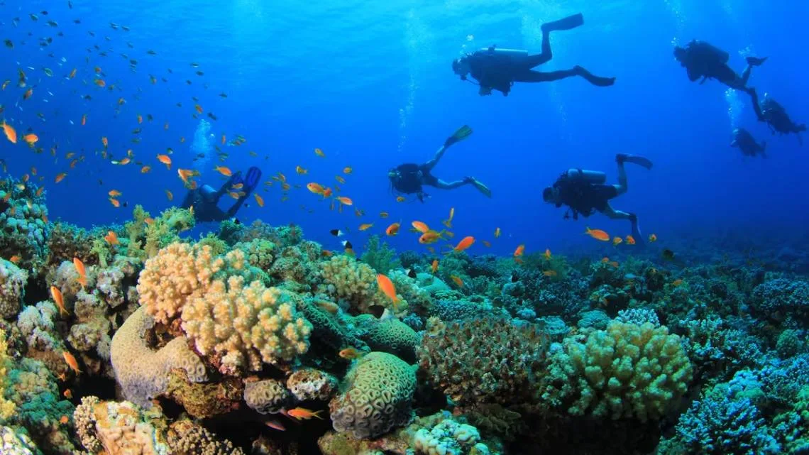 Cinco turistas italianos mueren en accidente de buceo en Maldivas durante excursión científica