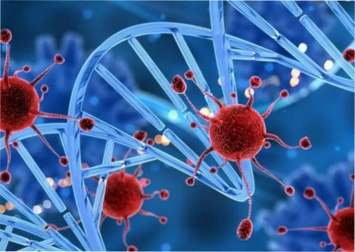 Descubren que la duración del ciclo celular influye en la formación del cáncer