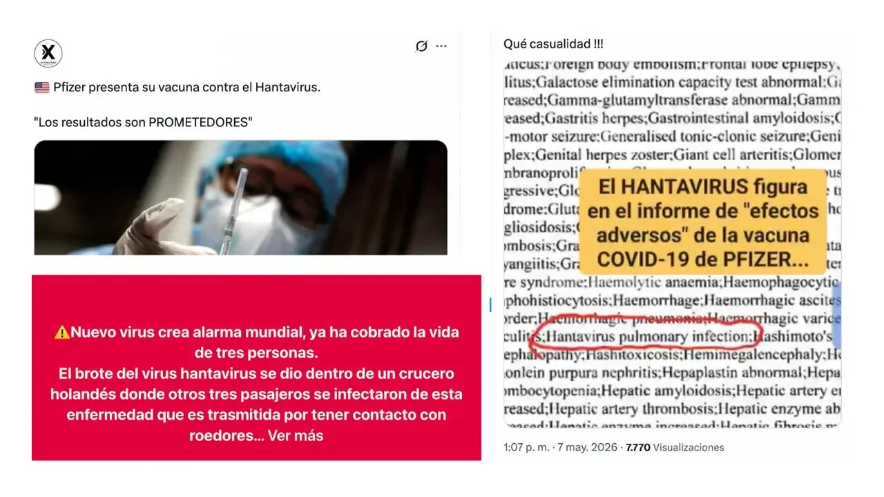 Mitos y realidades sobre el brote de hantavirus detectado en un crucero desde Ushuaia