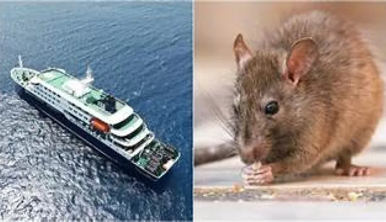 Salud de Tierra del Fuego mantiene monitoreo sobre casos de hantavirus vinculados a un crucero